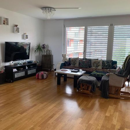 Rheinfelden Homestay المظهر الخارجي الصورة