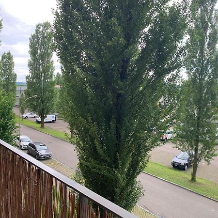 Rheinfelden Homestay المظهر الخارجي الصورة
