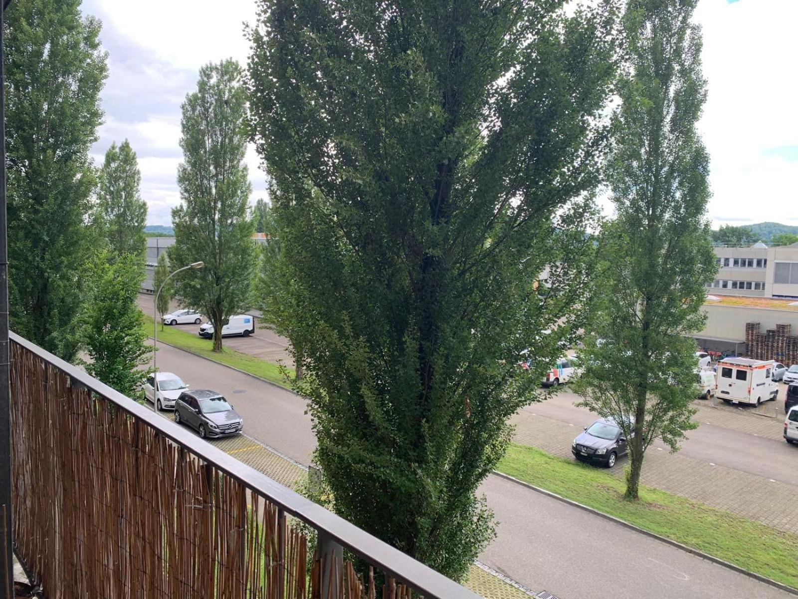Rheinfelden Homestay المظهر الخارجي الصورة